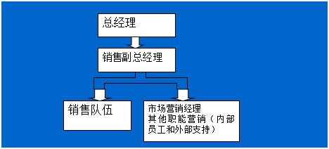 王義聊營(yíng)銷第48講 營(yíng)銷組織的設(shè)計(jì)與管理在安全咨詢服務(wù)領(lǐng)域的應(yīng)用